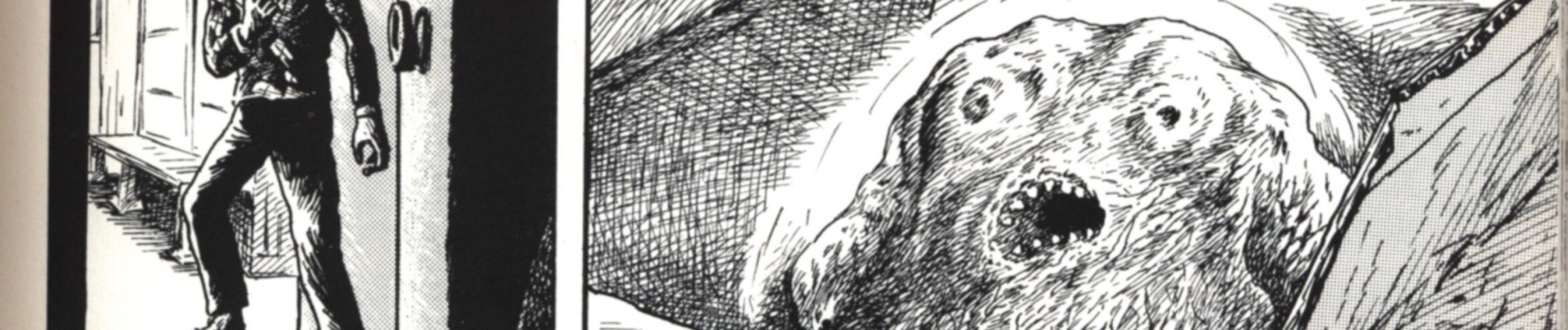 諸星大二郎自選短編集 汝、神になれ鬼になれ