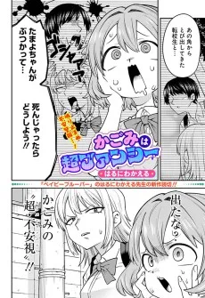 かごみは超ファンシー