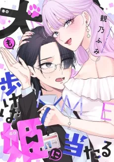 犬も歩けば姫に当たる