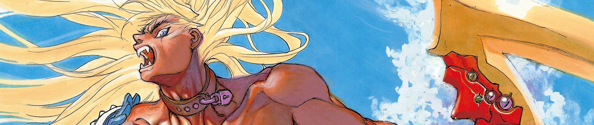 BASTARD!! －暗黒の破壊神－