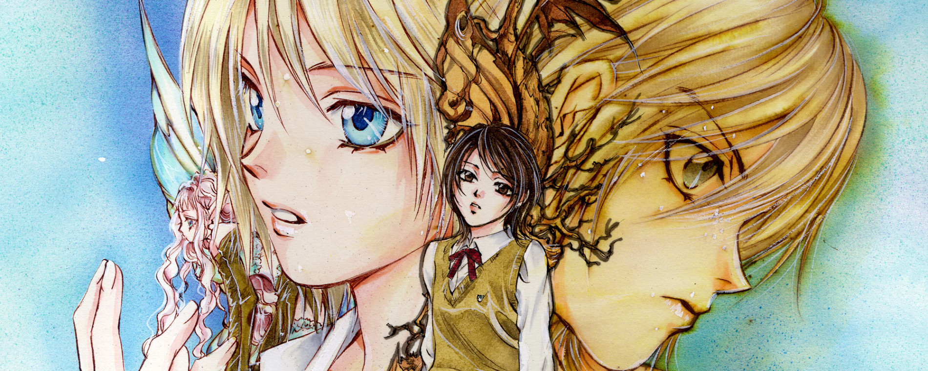 妖精標本 フェアリー キューブ