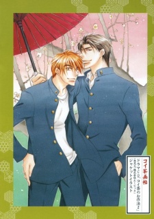 コイ茶のお作法