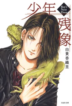 少年残像