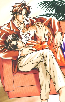 幸福のカテゴリー