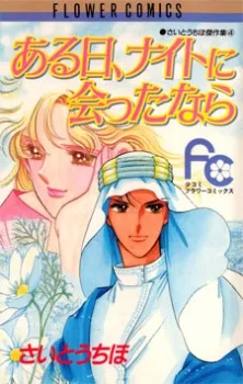 ある日、ナイトに会ったなら