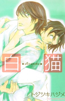 白猫