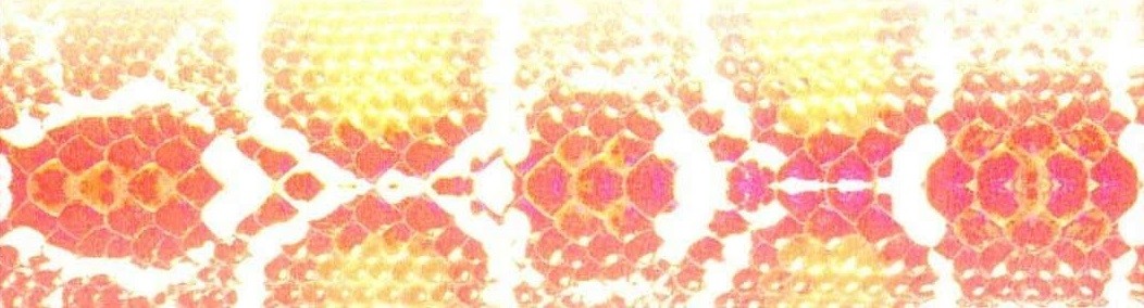 スカイハイ・カルマ