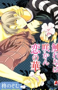 触れなば咲かん恋の華