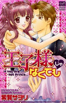 王子様じゃなくても