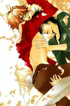 いたずら猫にご用心