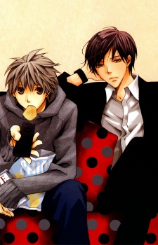 帽子屋エリプシス