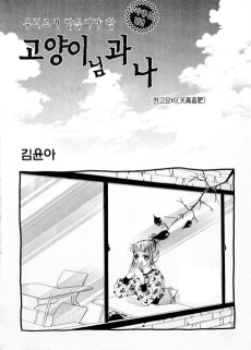 고양이님 과 나