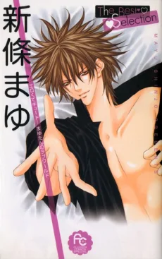 新條まゆ　The Best Selection