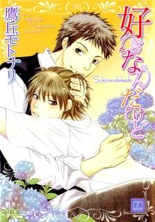 好きなんだけど