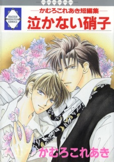 泣かない硝子 - かむろこれあき短編集