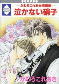 泣かない硝子 - かむろこれあき短編集