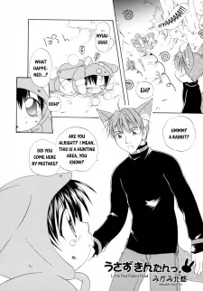 うさずきんたんっ