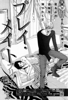 プレイ・メイト