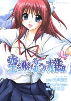 空を飛ぶ、3つの方法。