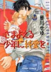 さまよえる少年に純愛を