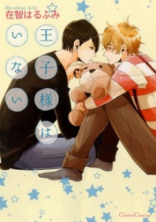 王子様はいない