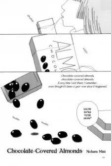 Chocolate-Covered Almonds