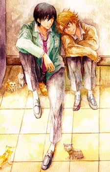 真実のキミを捕まえたい～of montage～