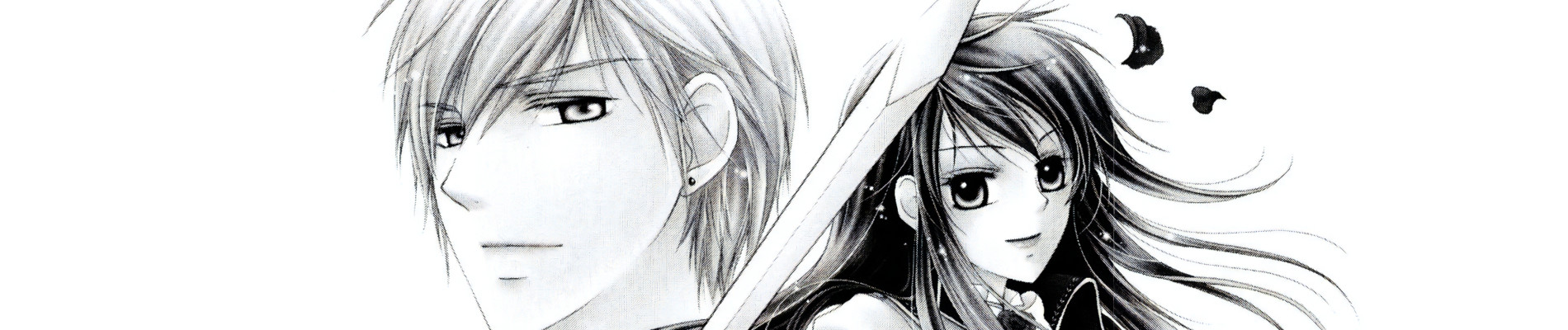 オルレリアンの騎士姫