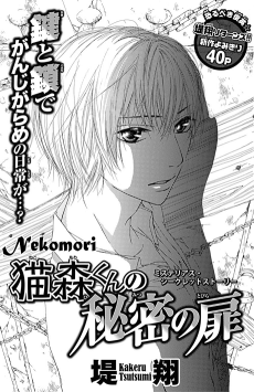 猫森くんの秘密の扉