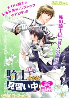 私の騎士さまは見習い中！