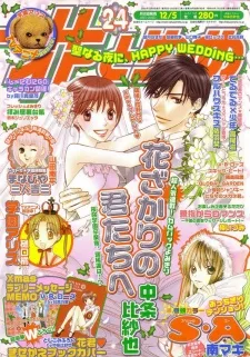 花ざかりの君たちへ スペシャル編