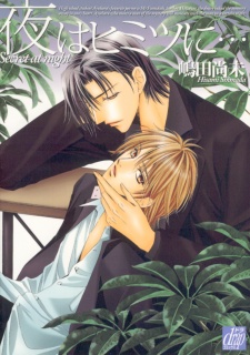 夜はヒミツに..