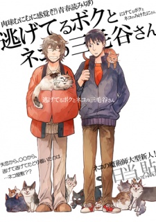 逃げてるボクとネコの三毛谷さん