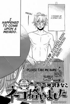 ネコ拾いました