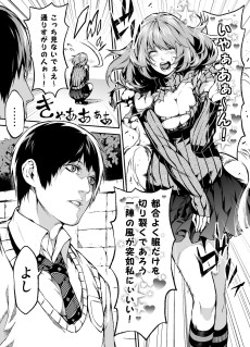 SEXする漫画