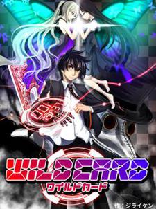 ワイルドカード