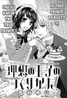 理想の王子様のつくりかた