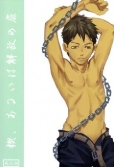 楔、あるいは解放の扉