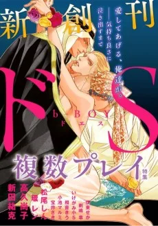 b-BOY ドS複数プレイ特集