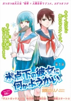 氷点下の彼女に何かようかい