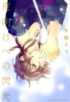 夜明けへの閃光