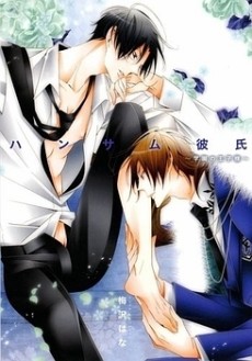 ハンサム彼氏〜学園の王子様〜