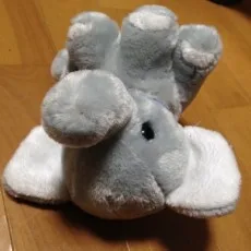 亜画々屋ぺらも