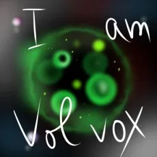 澄川ボルボックス