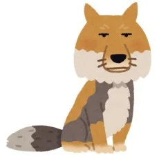 えぞぎんぎつね