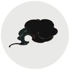 ホノジロトヲジ