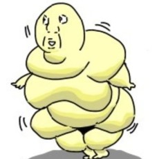 ザビエラー長谷川