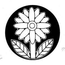 はやかわけんじ 