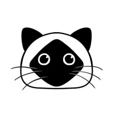 イズミダフユキ