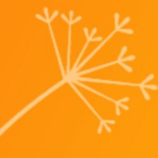 ナツ之えだまめ